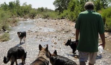 Arnold Snyder con i suoi cani